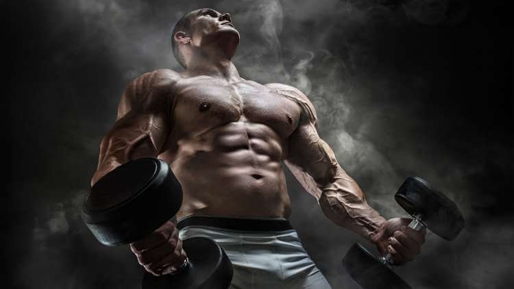 SARMS SUPPLEMENTS FOR BULKING