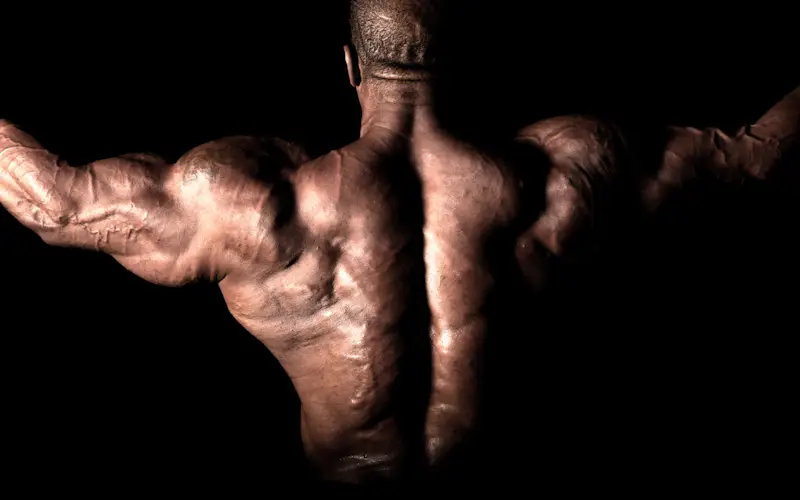 SARMS MUSCLE BUILDING SUPPLEMENTS
