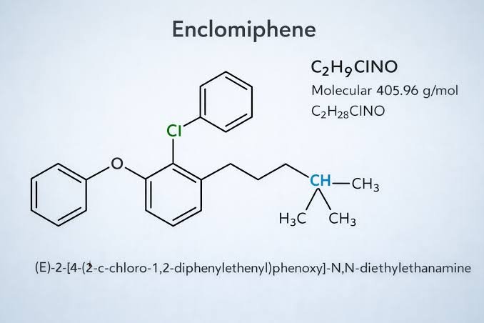 What Is Enclomiphene Citrate?